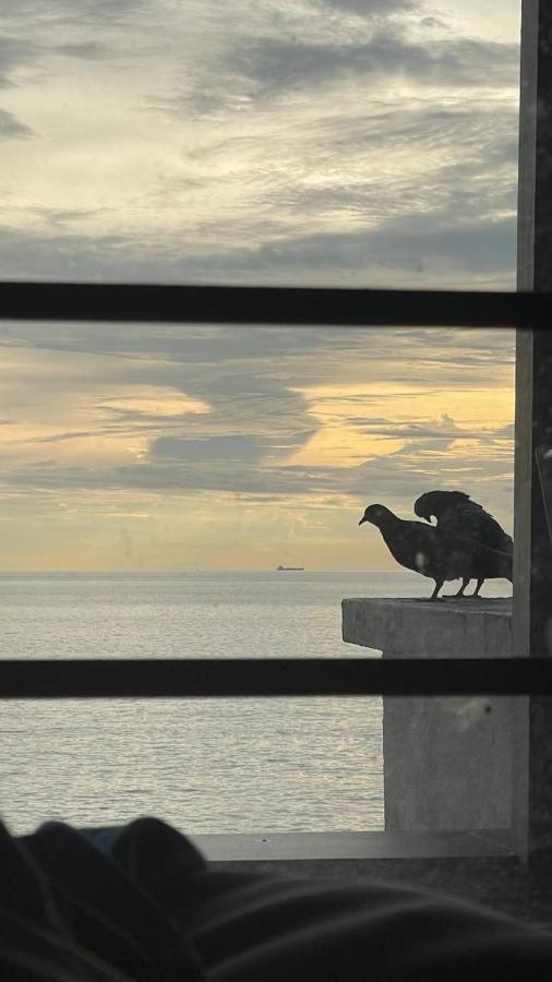 Seaview Holiday Home 波德申 外观 照片